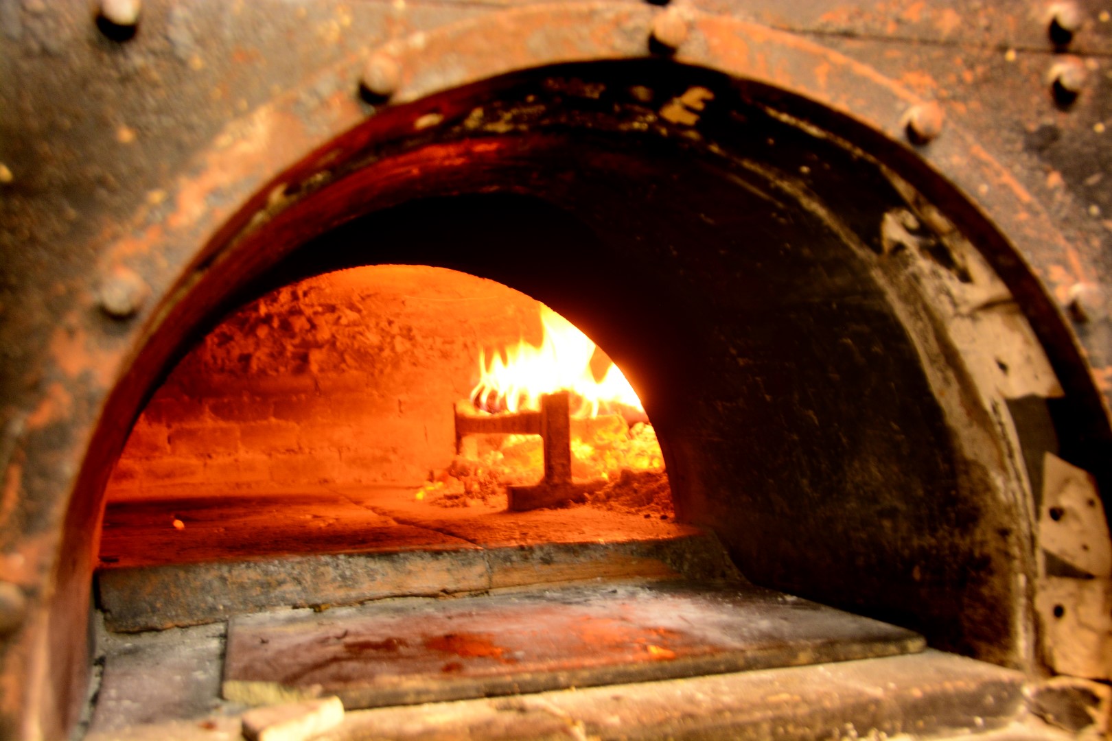 traditional wood-fired oven - PIzza 485